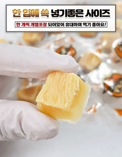 치즈 오징어