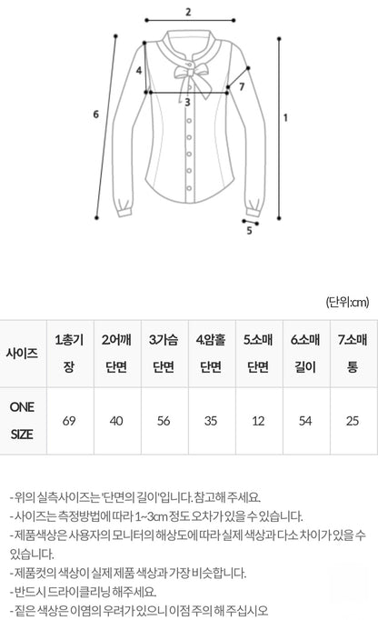 플레어 블라우스